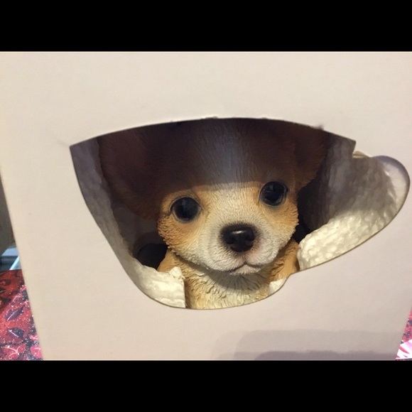 CHIHUAHUA TEA CUP PUP - Picture 2 of 2